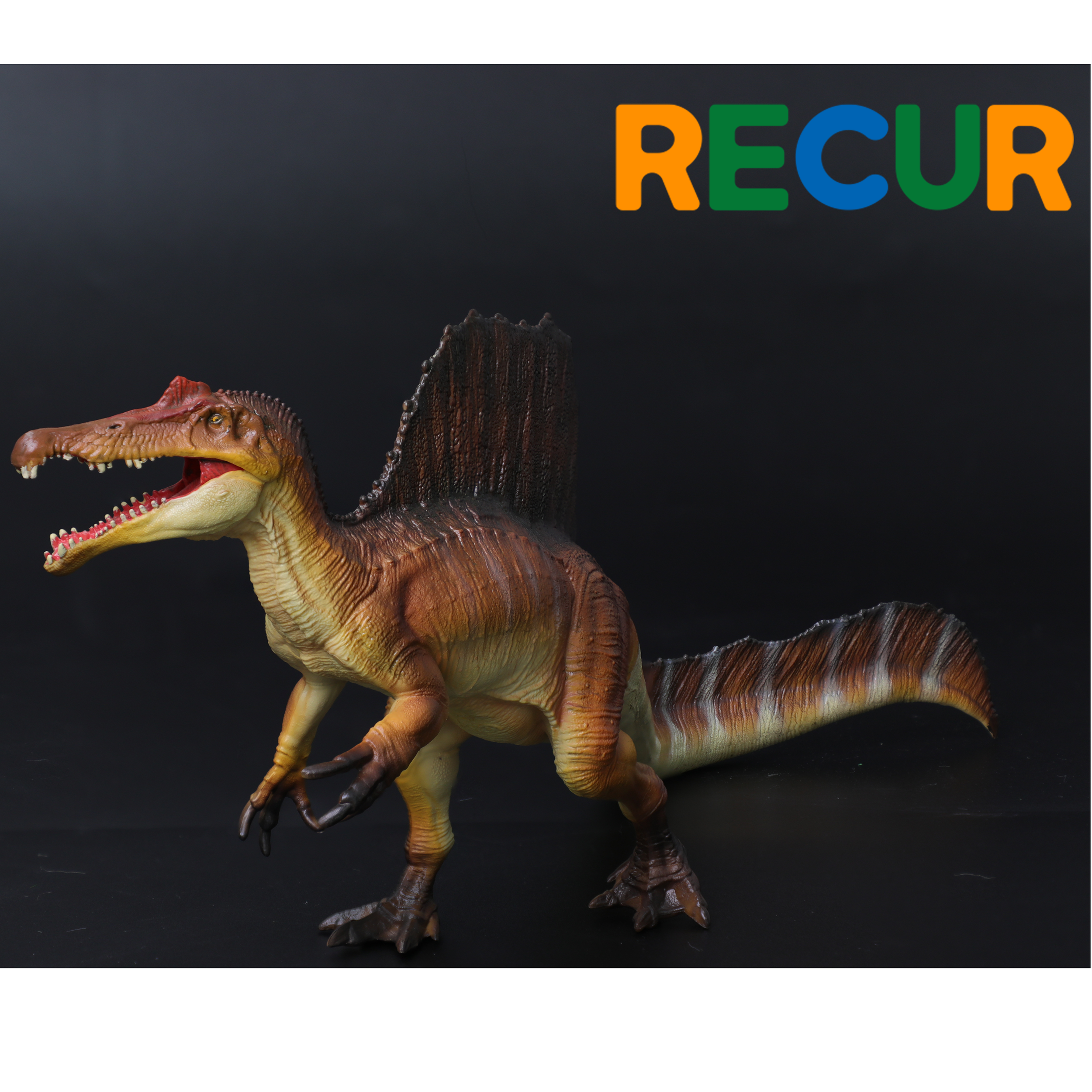ソニーエンジェル 2024　ダイナソーシリーズ ロビー dinosaur ソニーエンジェルがキュートな恐竜に大変身！愛嬌たっぷりの恐竜